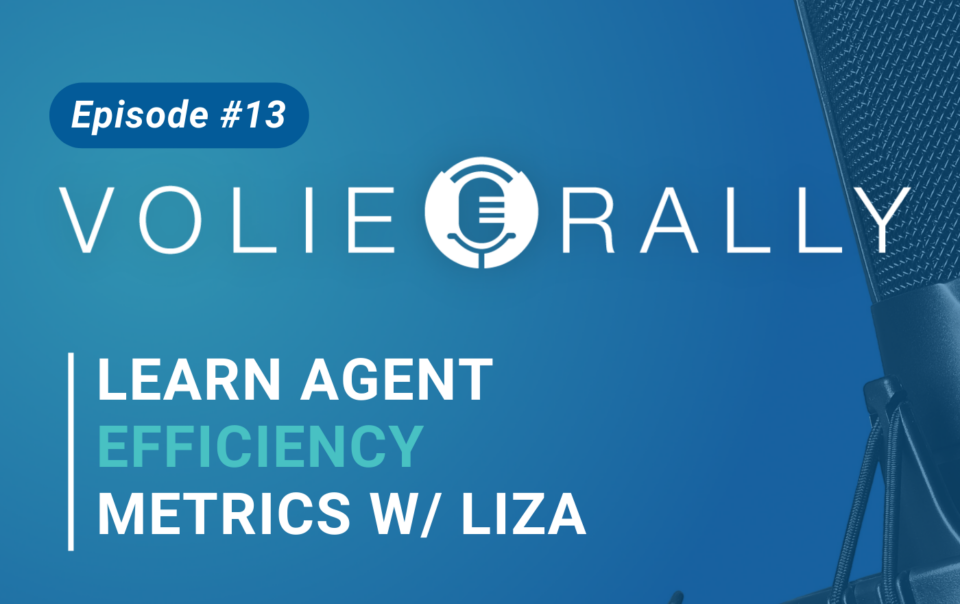 Learn Agent Efficiency Metrics with Liza