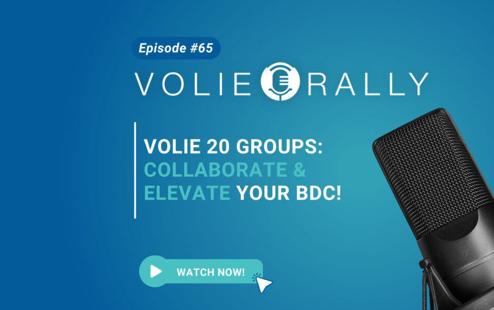 Introducing Volie 20 Groups - Collaborate & Elevate Your BDC!