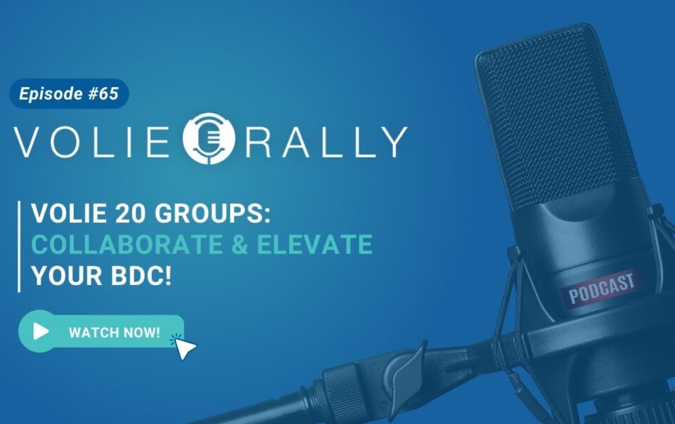 Introducing Volie 20 Groups - Collaborate & Elevate Your BDC!