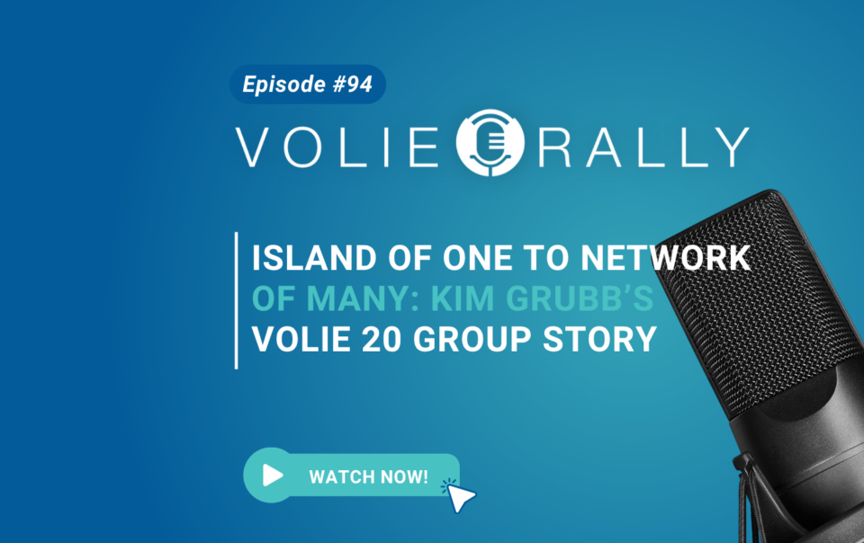 volie rally title 20 group