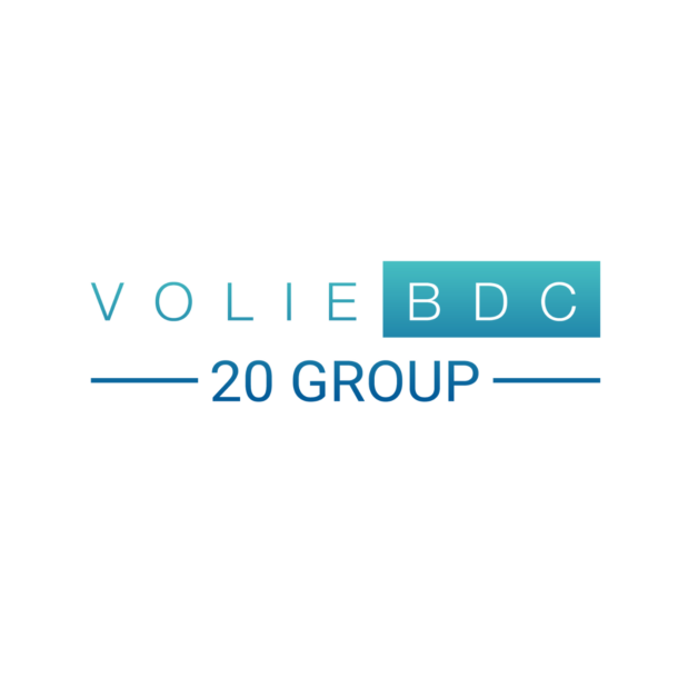 Volie 20 Group logo
