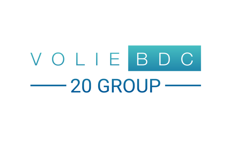 Volie 20 Group logo